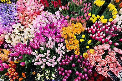 传闻：《歧路旅人2》将在本月登陆Xbox和XGP